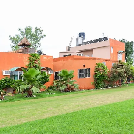 The Baghban Hotel & Resort, Baddi-3